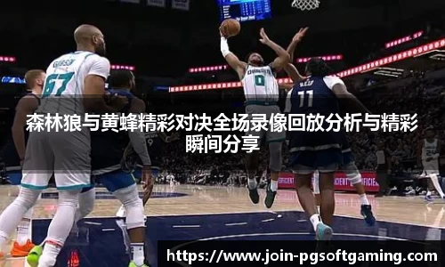 森林狼与黄蜂精彩对决全场录像回放分析与精彩瞬间分享